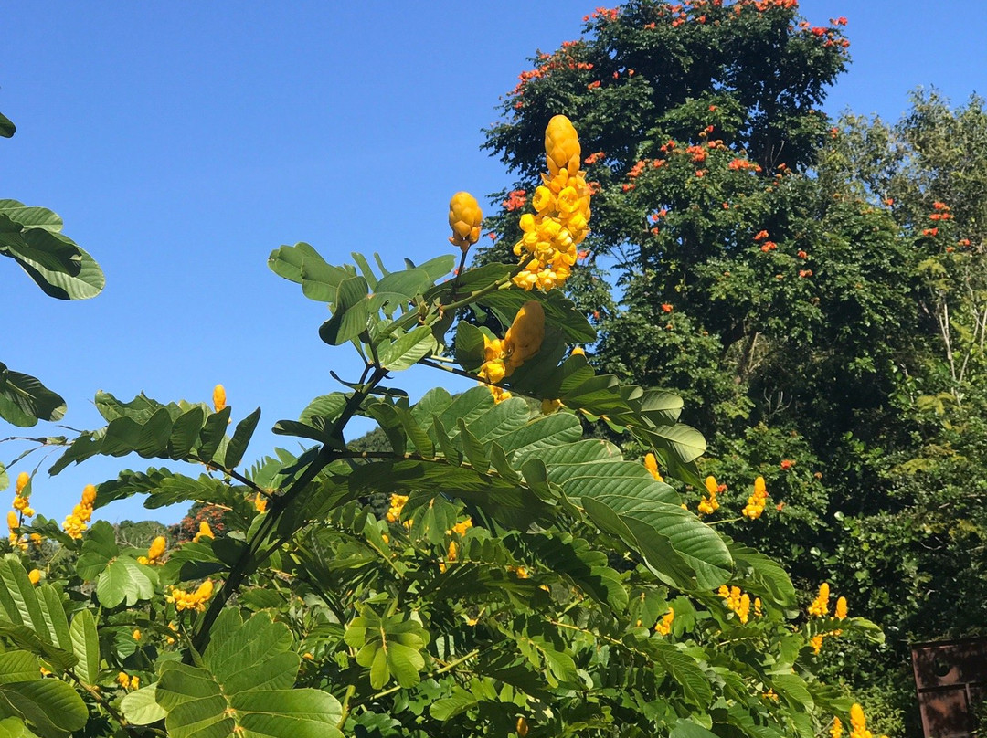 Aloha Cottages主图