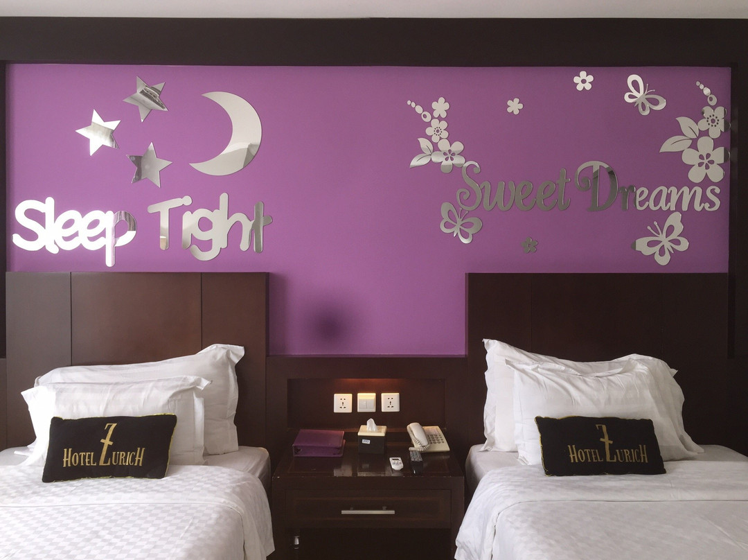 苏黎世酒店主图