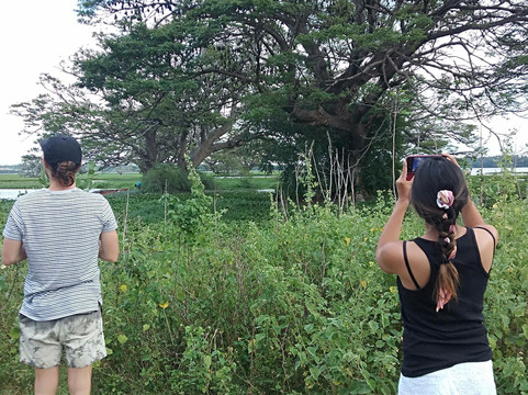 Lanka Grand Tours-蒂瑟默哈拉默必去景点