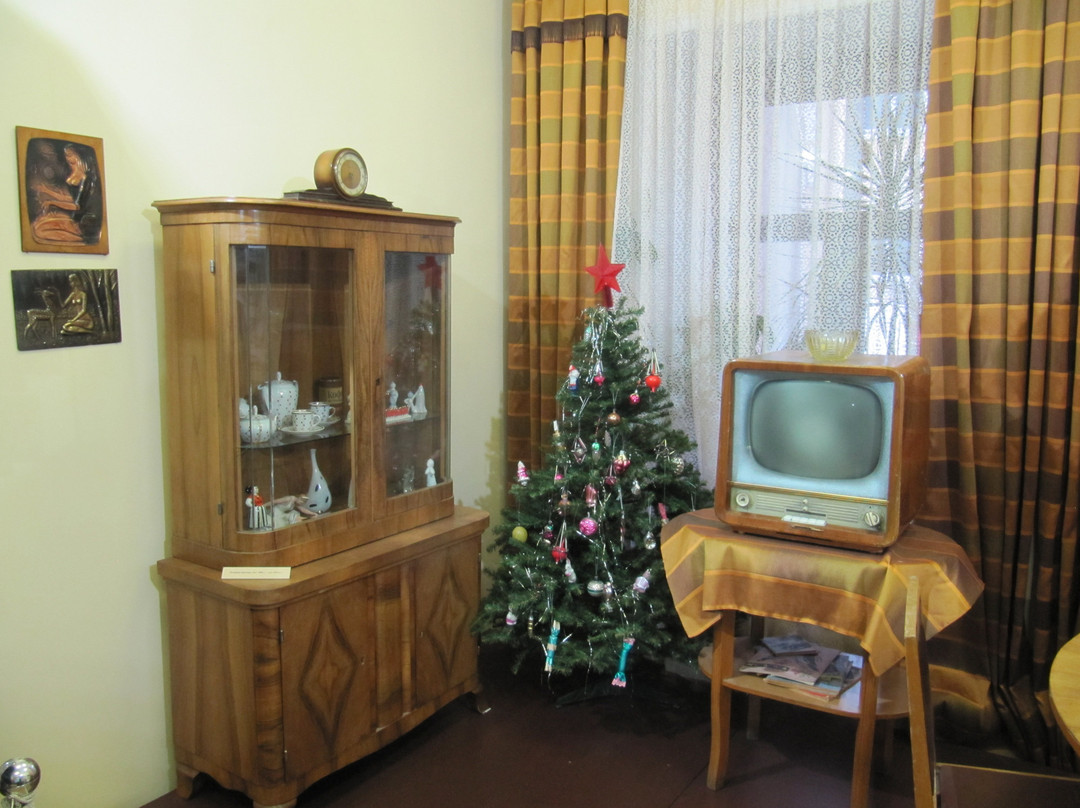 Perm Local History Museum景点图片