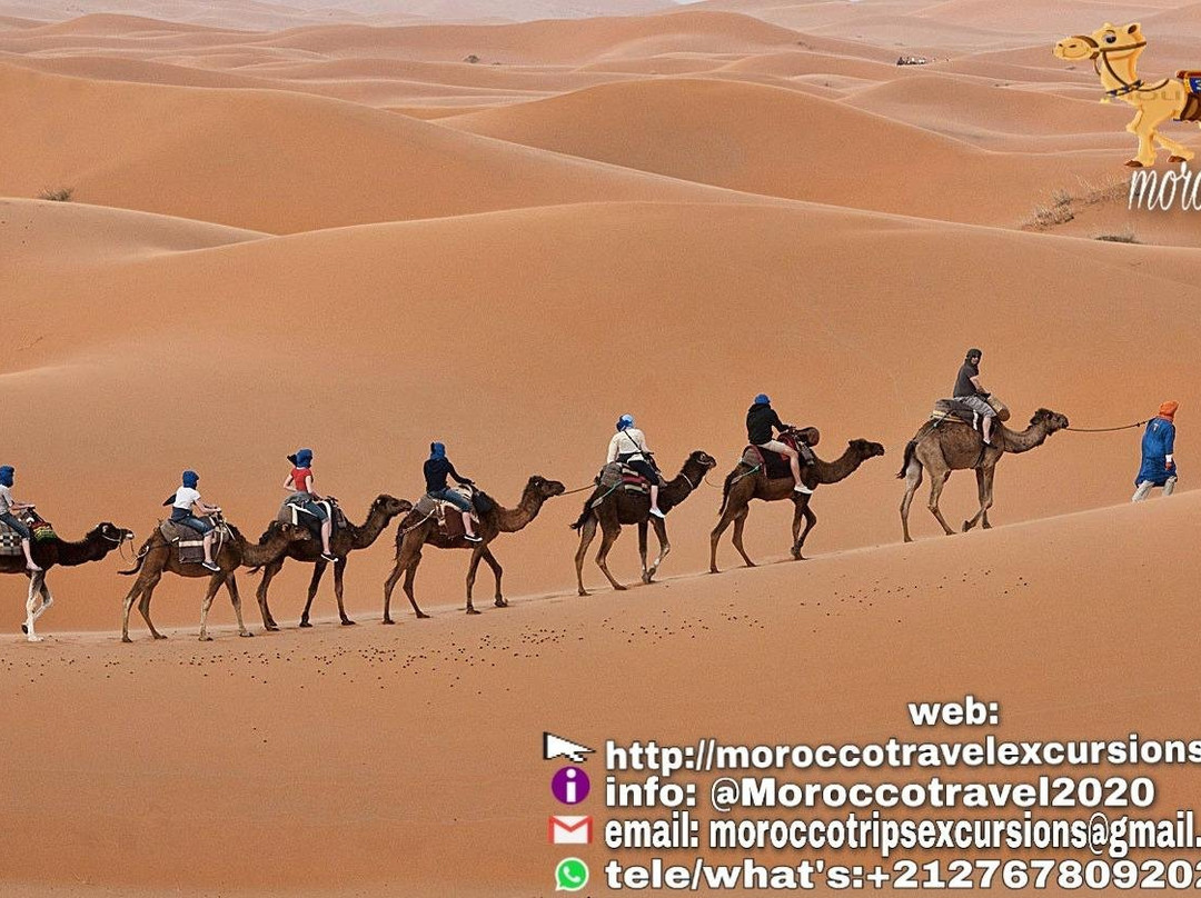 Africa north journeys-卡萨布兰卡必去景点