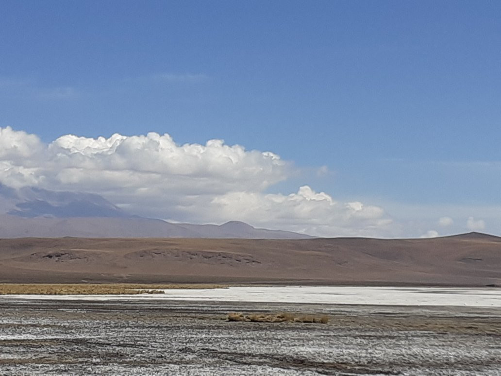 Salar de Ascotan景点图片