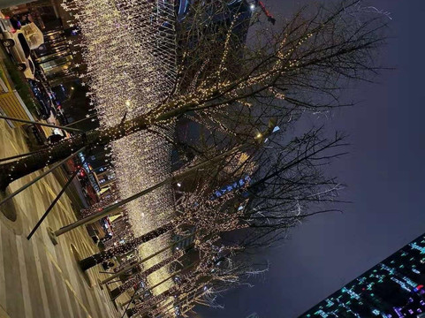 Reise Travel(YTS)-成都必去景点