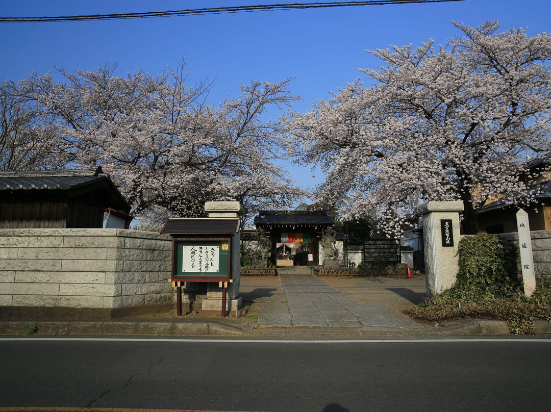Jizo-in景点图片