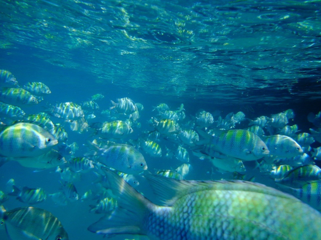 Ilha Comprida-帕拉地必去景点