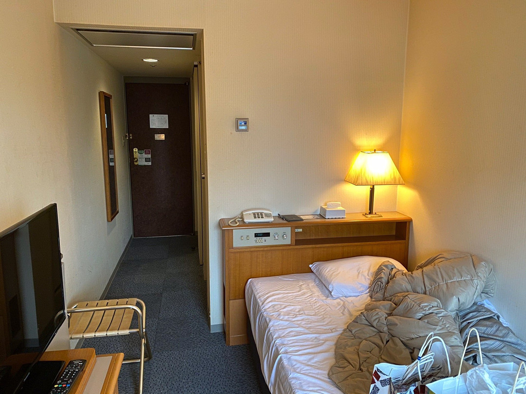 新泻灿路都大饭店主图