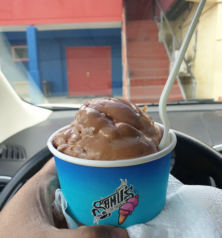 Samus Ice Cream Shop