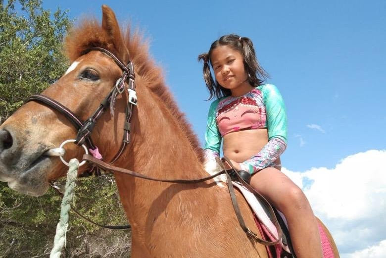 Stud Horse Riding and Rescue景点图片