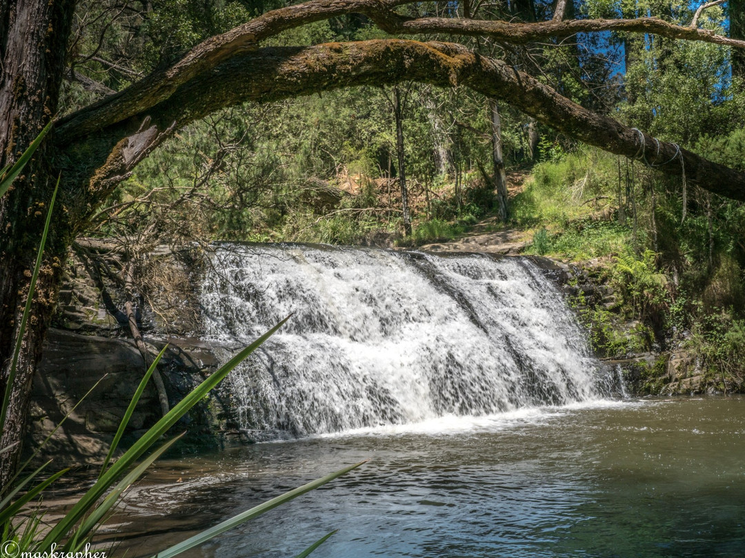 Morwell River Falls-Boolarra必去景点