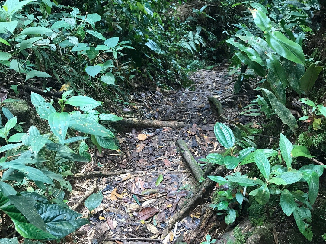 Remorini Turismo de Aventura-Visconde de Maua必去景点