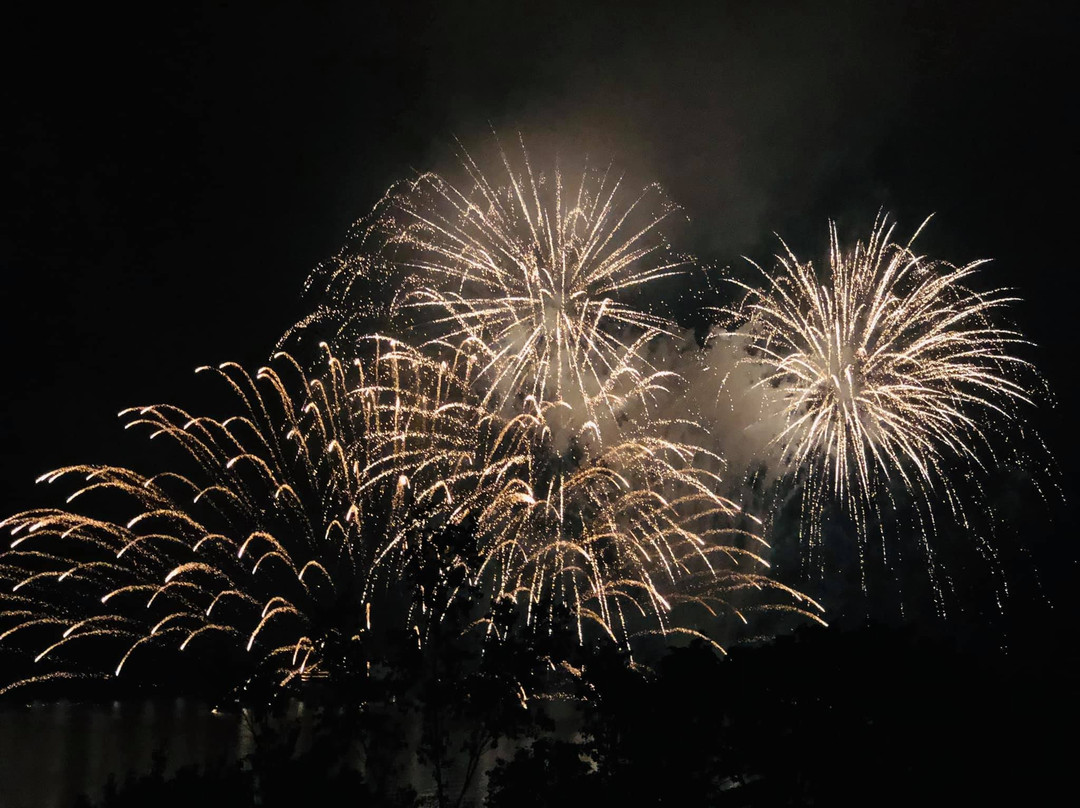 大和旅馆别馆主图