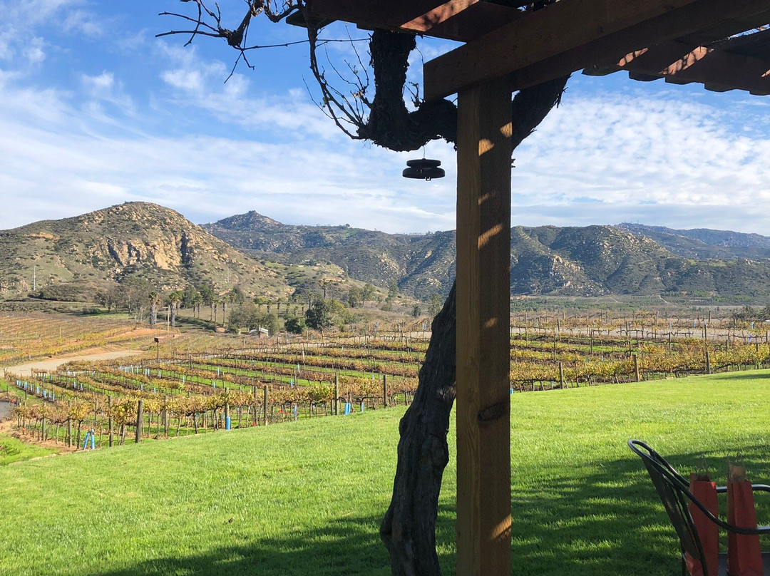 Orfila Vineyards & Winery景点图片