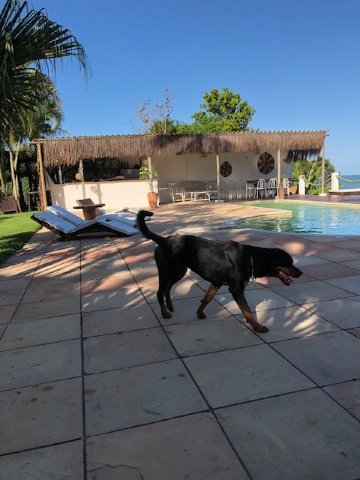 Casa Mia Eco Hotel Boutique-泳池