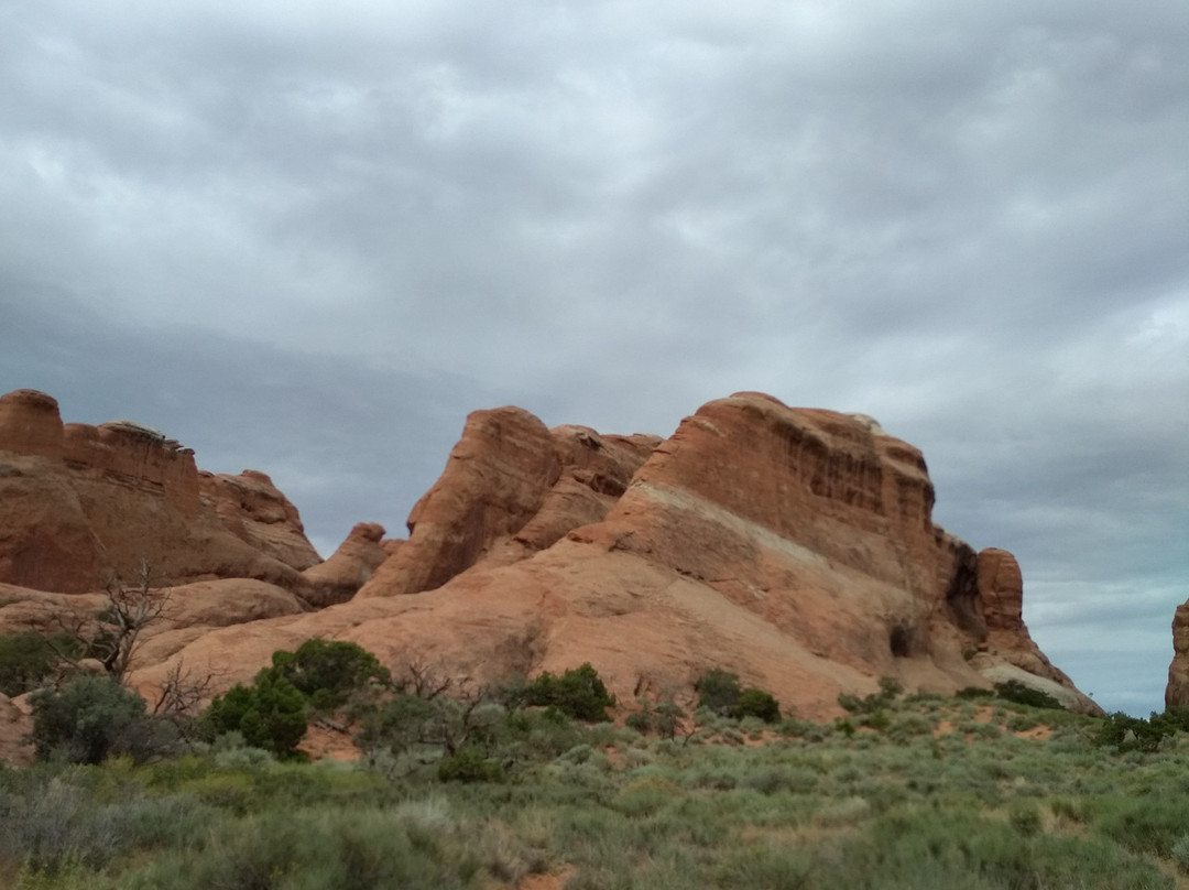 Pine Tree Arch Trail-拱门国家公园必去景点