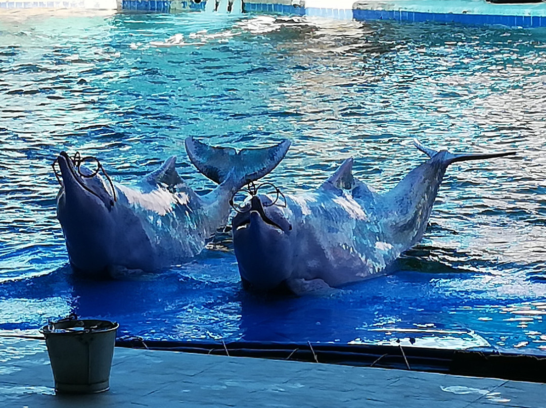 Oasis Sea World-廉信必去景点