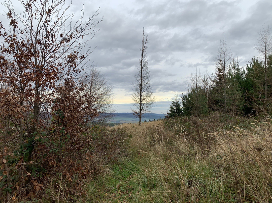 Naturpark Landseer Berge-Oberpullendorf必去景点