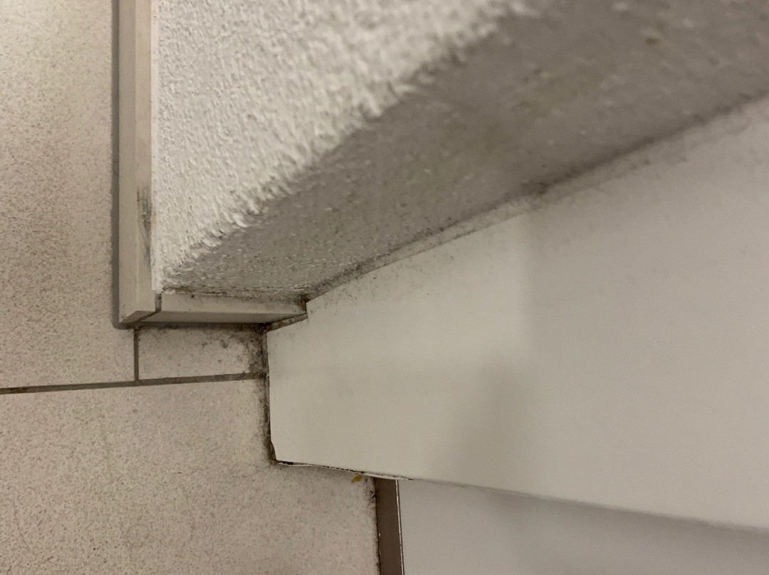 阿德勒公寓式酒店主图