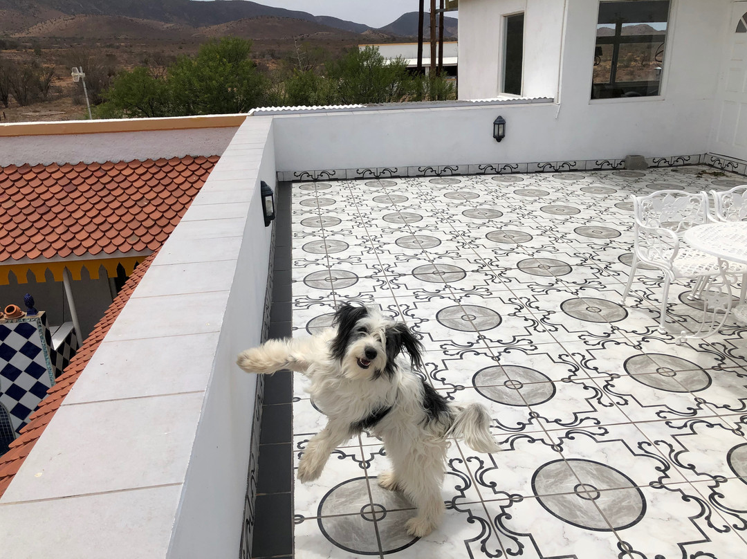 Karroo Theatrical Hotel主图