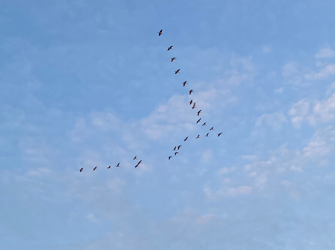 Aldo Leopold Foundation-巴拉布必去景点