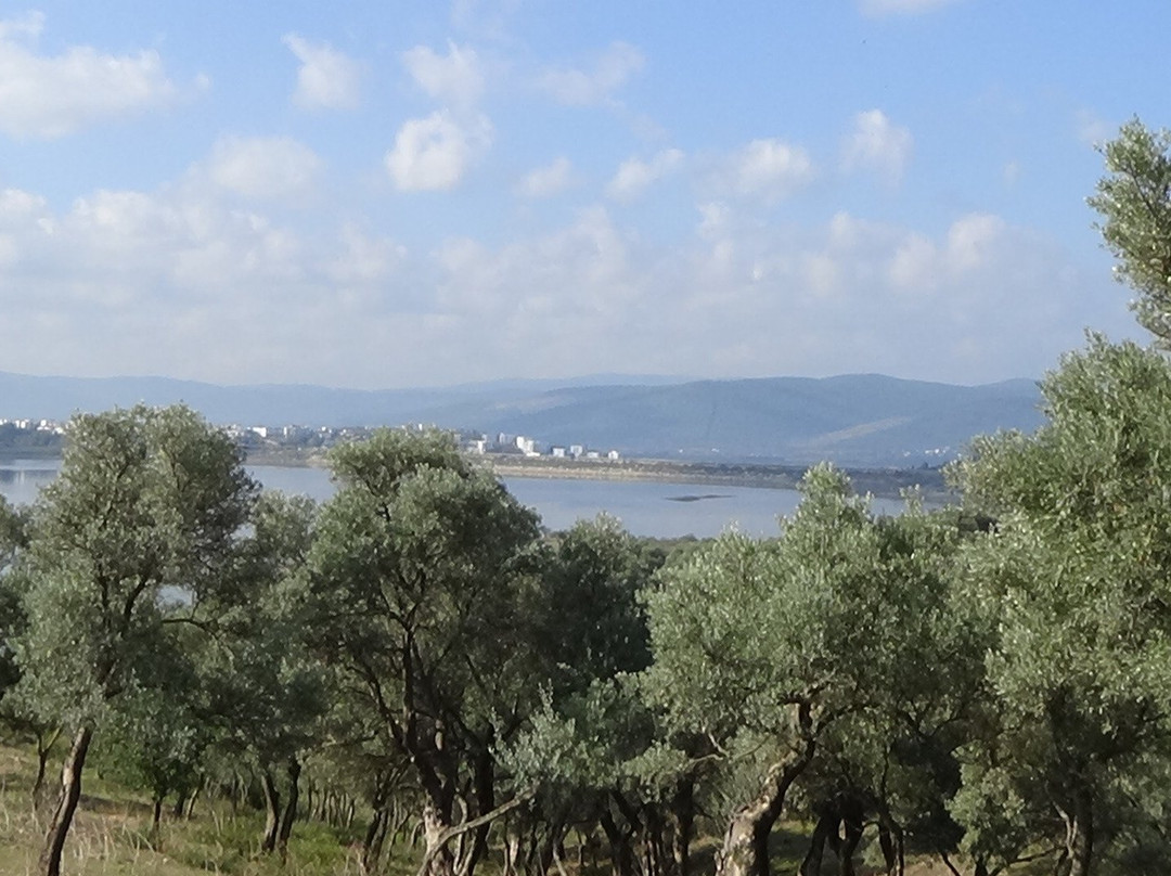 Mumcular Dam-蒙朱拉尔必去景点