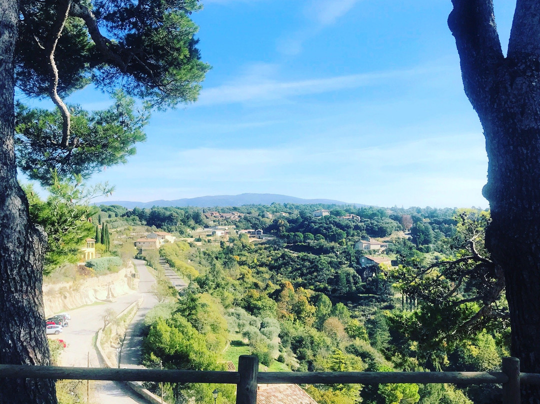 Maison D'Hotes Des jardins主图