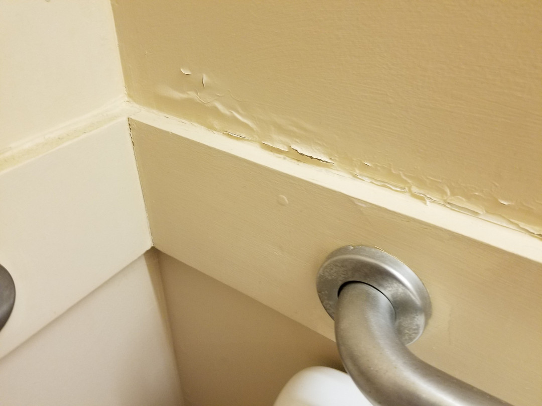 Microtel Inn & Suites By Wyndham Quincy Downtown/river Area主图