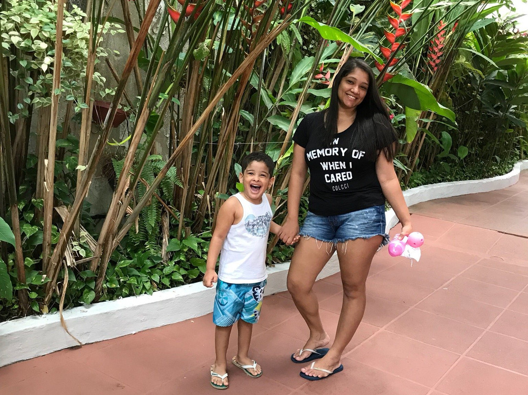 Tarik Fontes Plaza Hotel主图