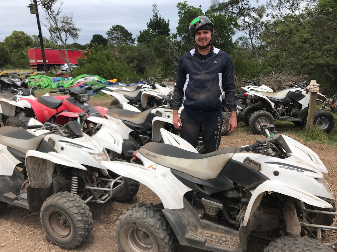 WildX Adventures - Garden Route-荒野必去景点