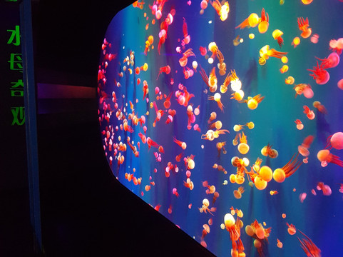 浩海立方-双流县必去景点