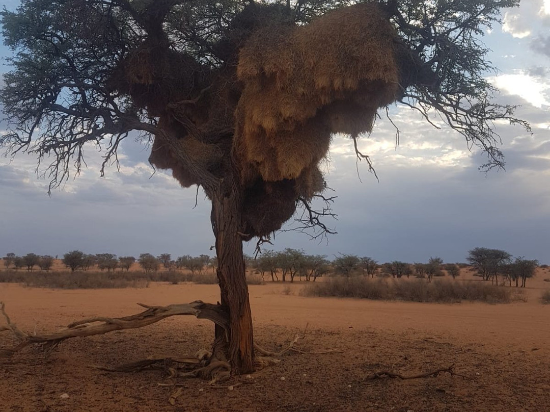 Garas Park Camp-Keetmanshoop必去景点