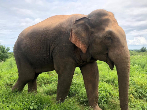 Ravana Taxi & Tours Ella-埃勒必去景点