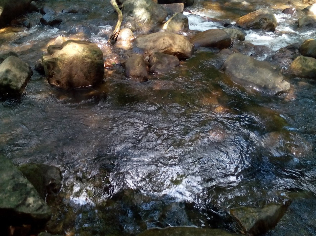 Vazhvanthol Waterfalls-提卢湾安塔普兰（特里凡德伦）必去景点