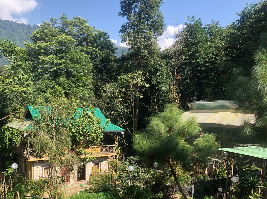 Cherry Village Resort主图