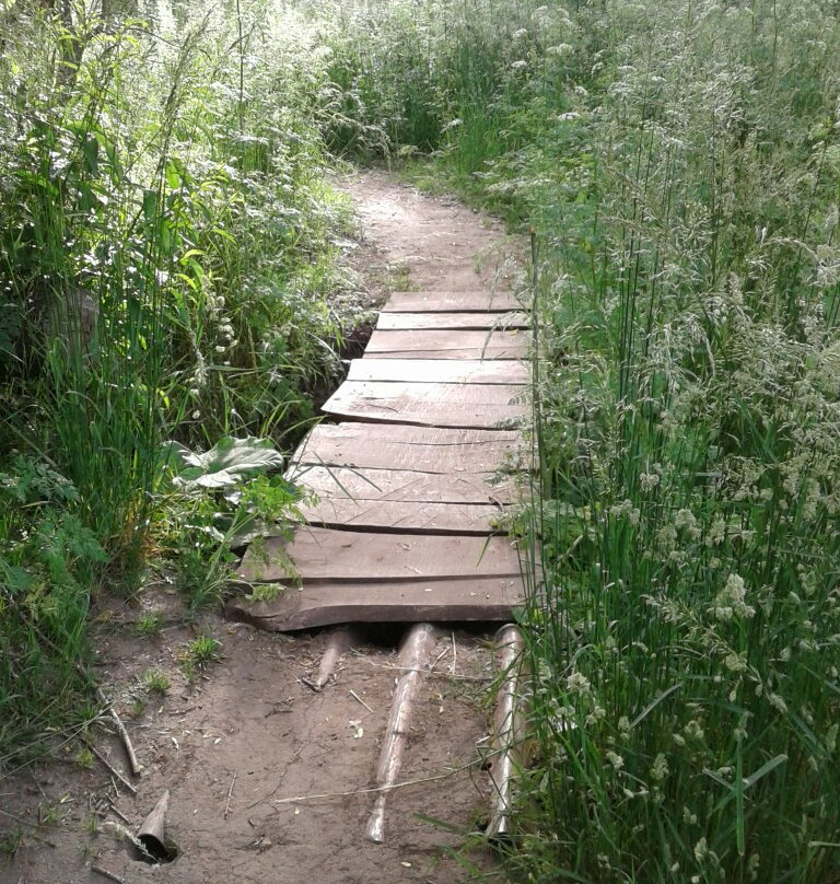 Sendero Ribera Del Belisario景点图片