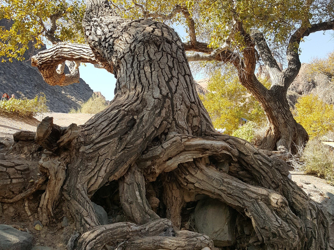 Charyn National Park-Almaty Region必去景点