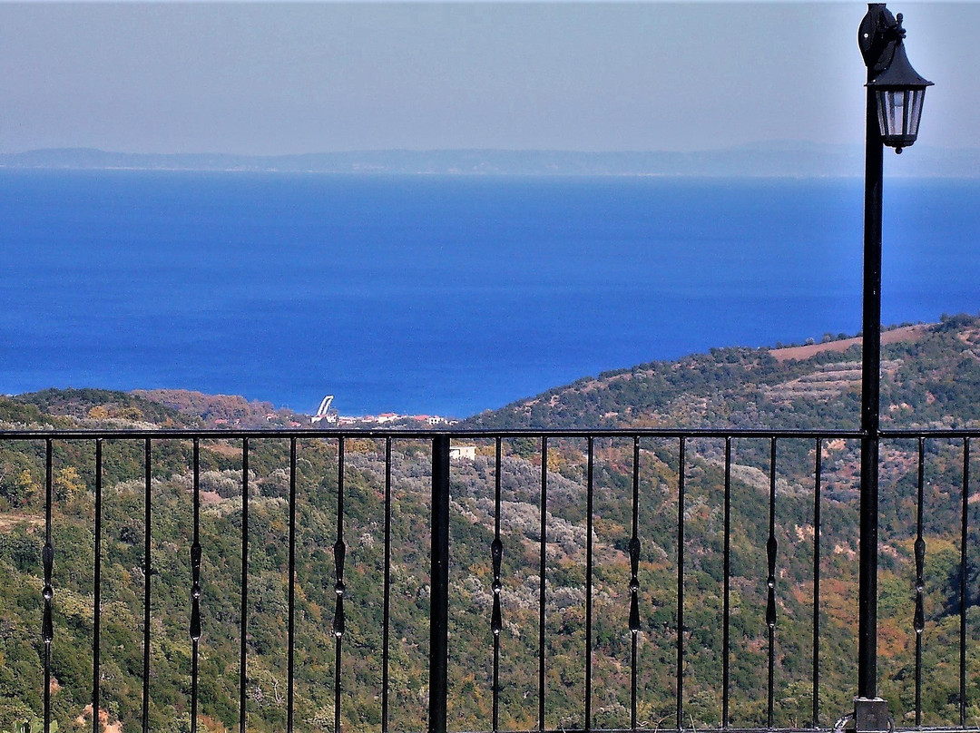 Amanitis Caesarea主图