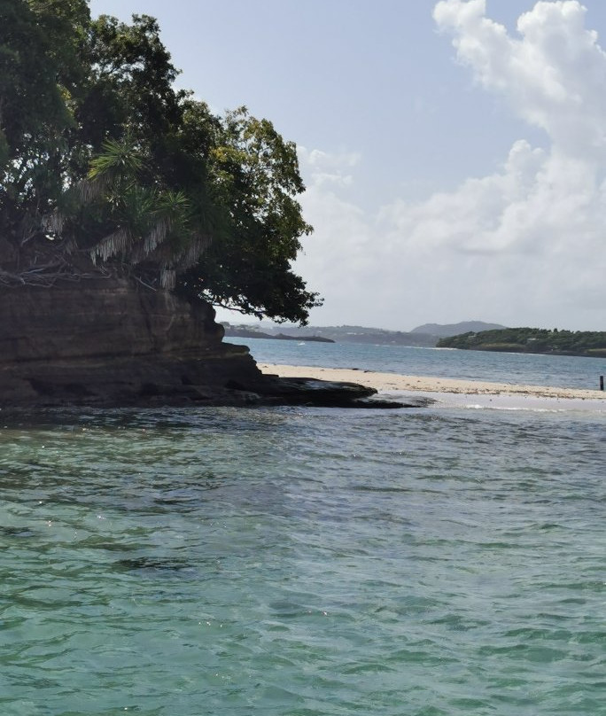 CaptainManou Excursions Nautiques-Le Robert必去景点