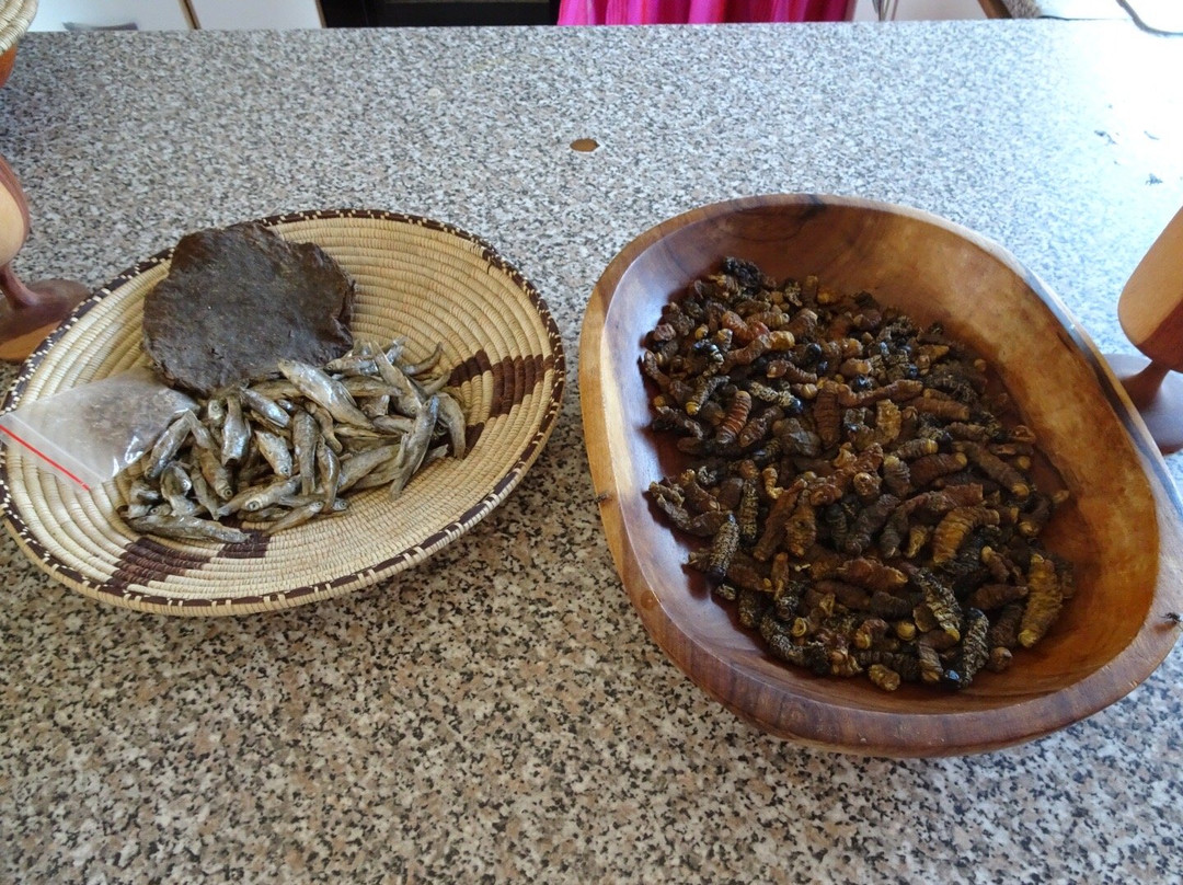 Anchor Adventures Namibia-温德和克必去景点