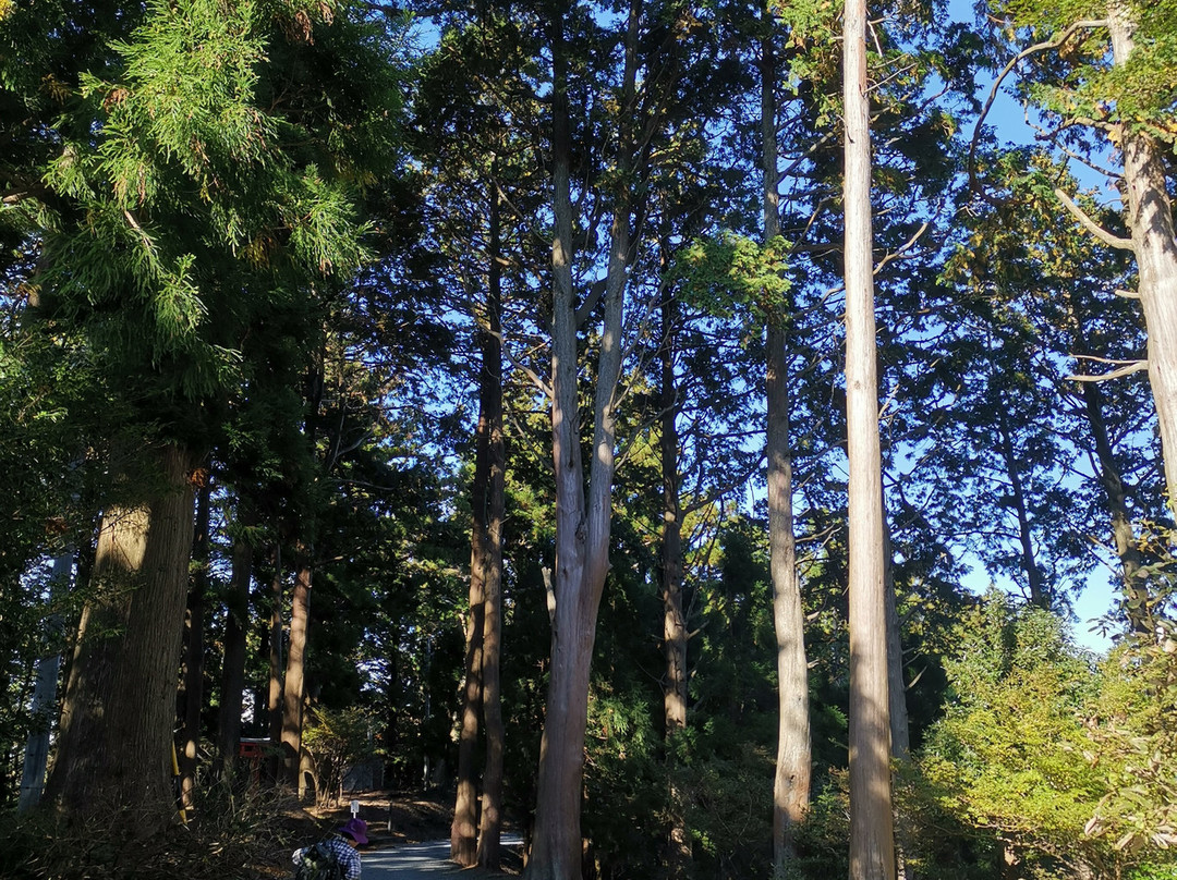 Toga Shrine Okumiya-丰川市必去景点