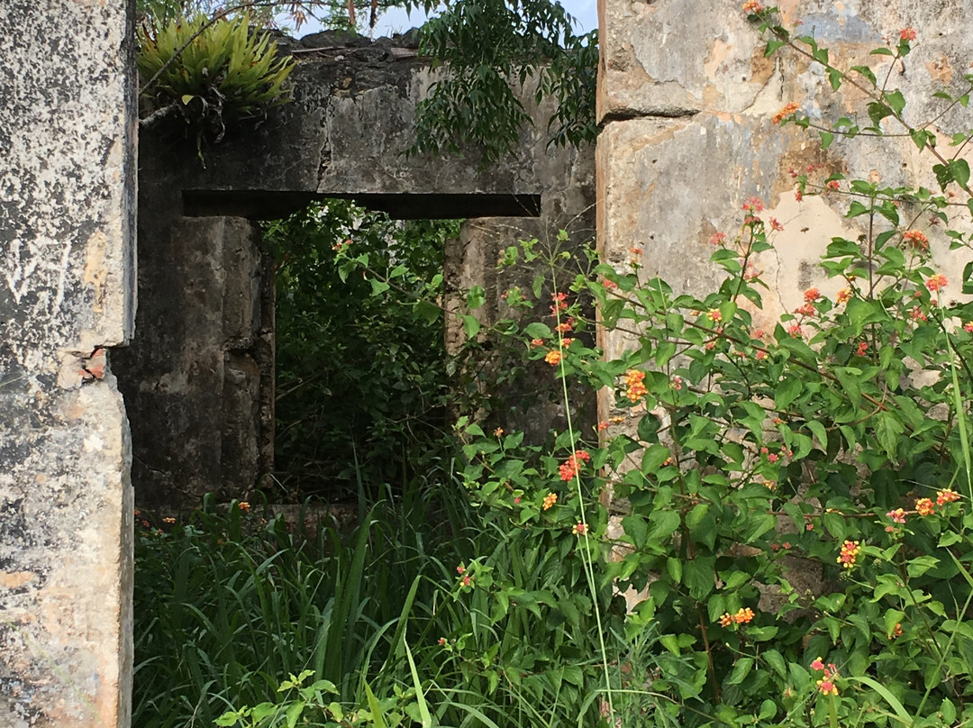 Vestiges du Bagne-Ile Des Pins必去景点