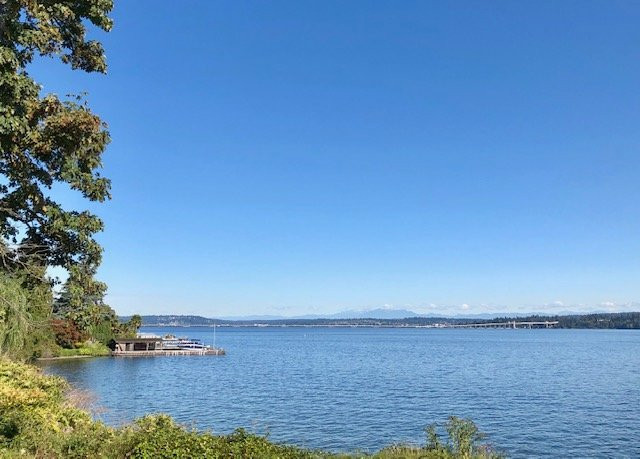 Madrona Park景点图片