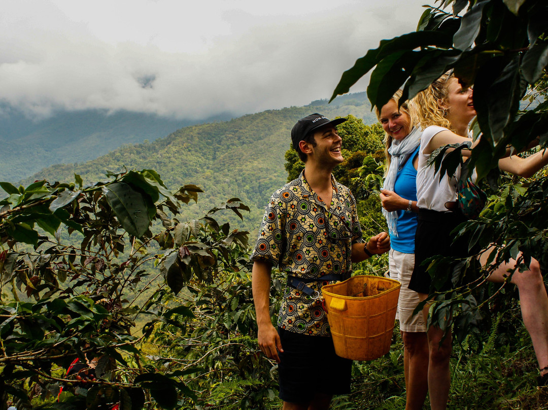 INSIDE Colombia-麦德林必去景点