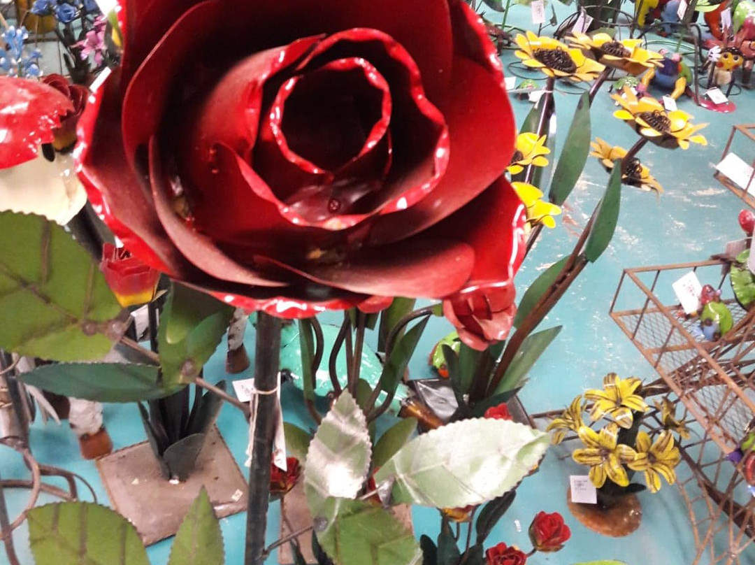 The Buckin' Flamingo-Pawhuska必去景点