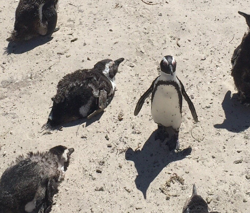 Foxy Beach-西门镇必去景点