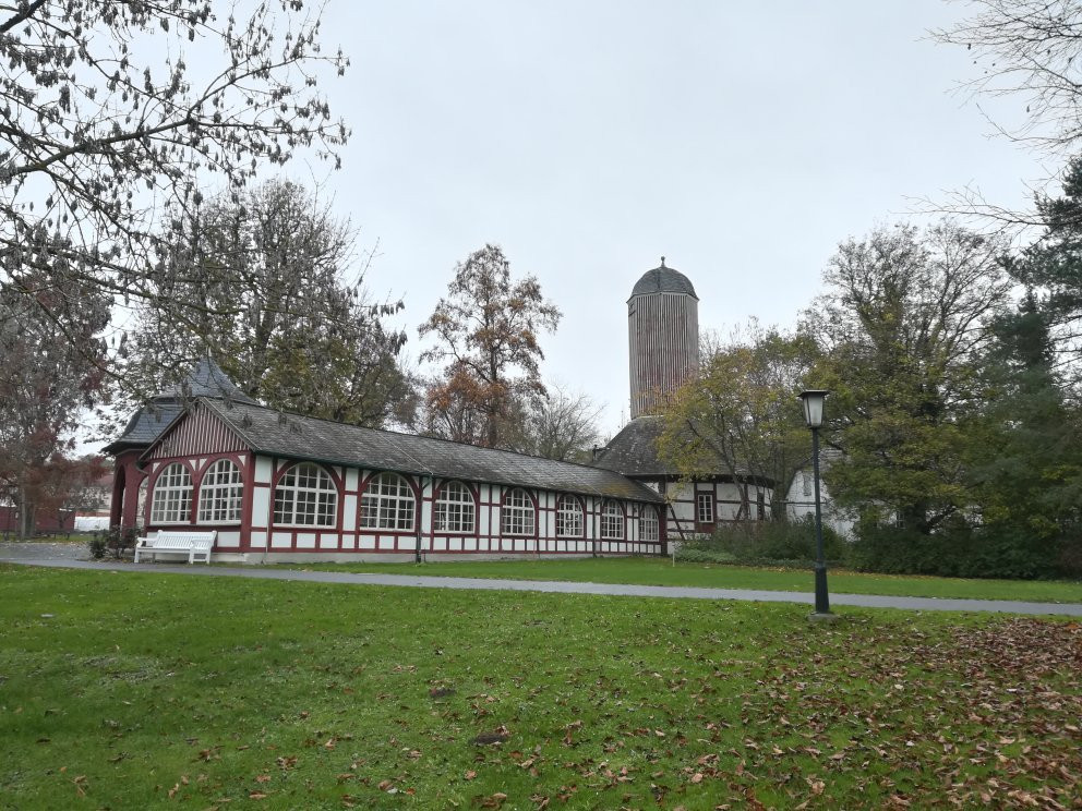 Kurpark Bad Salzhausen景点图片