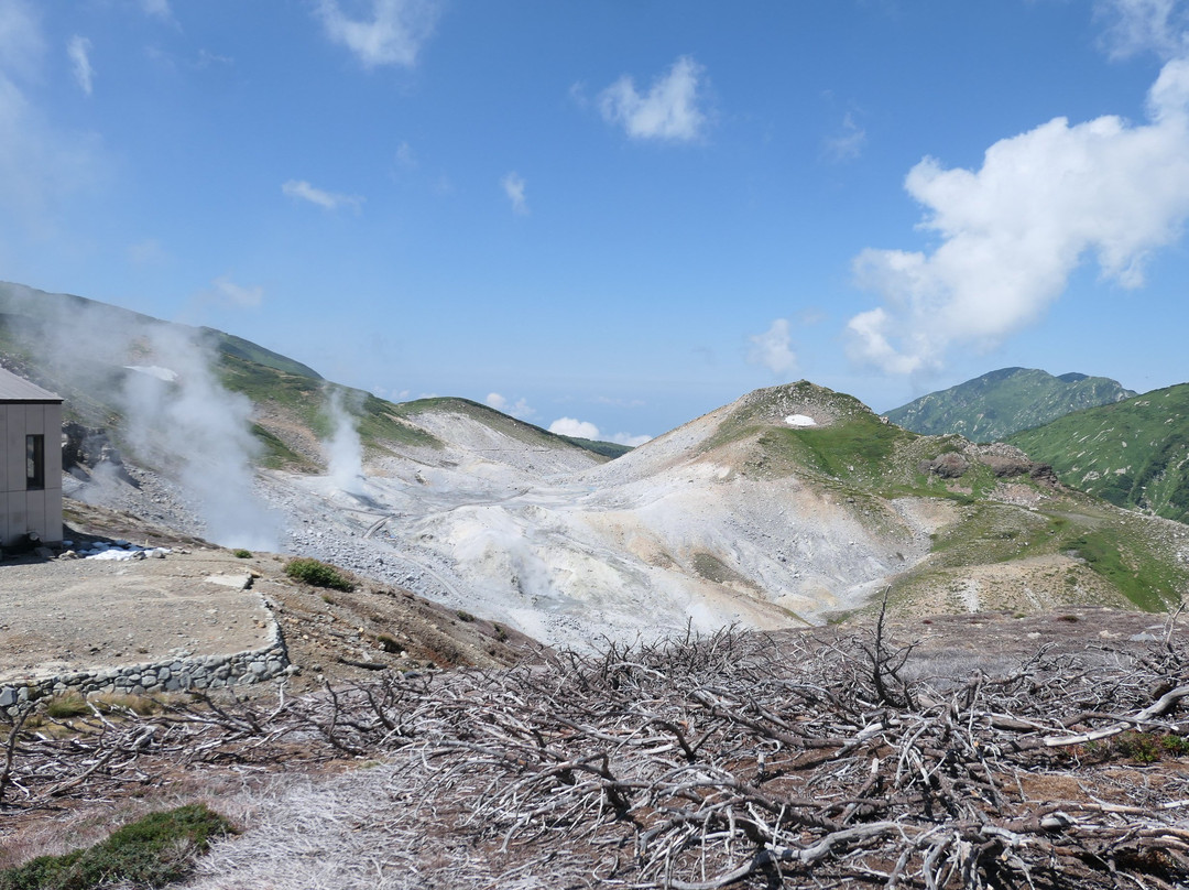 雷鸟庄日式温泉旅馆主图