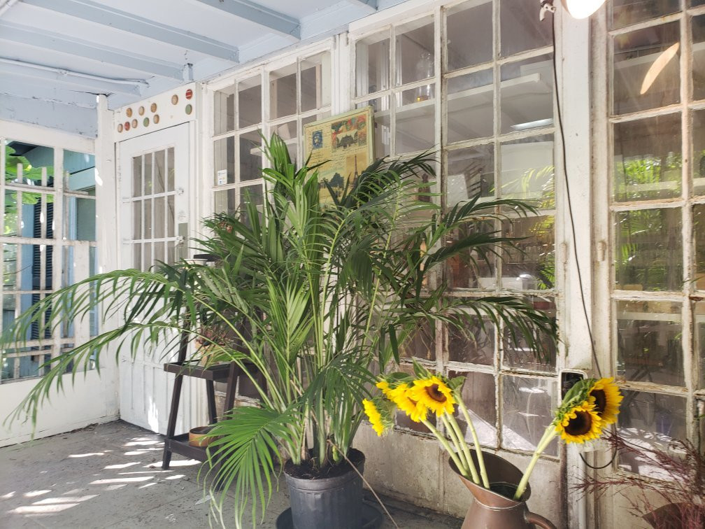 Therapia by Aroma-Goulds必去景点