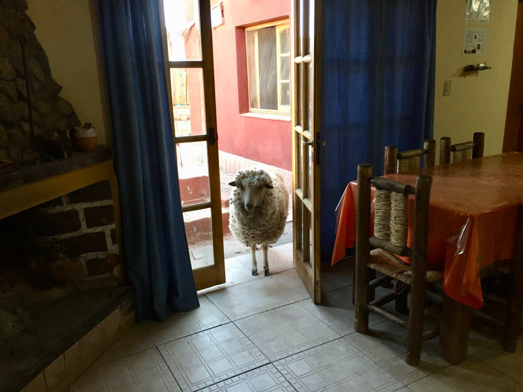 Hosteria Huaco San Juan主图