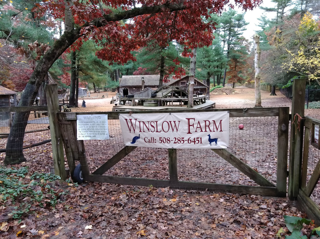 Winslow Farm Animal Sanctuary景点图片