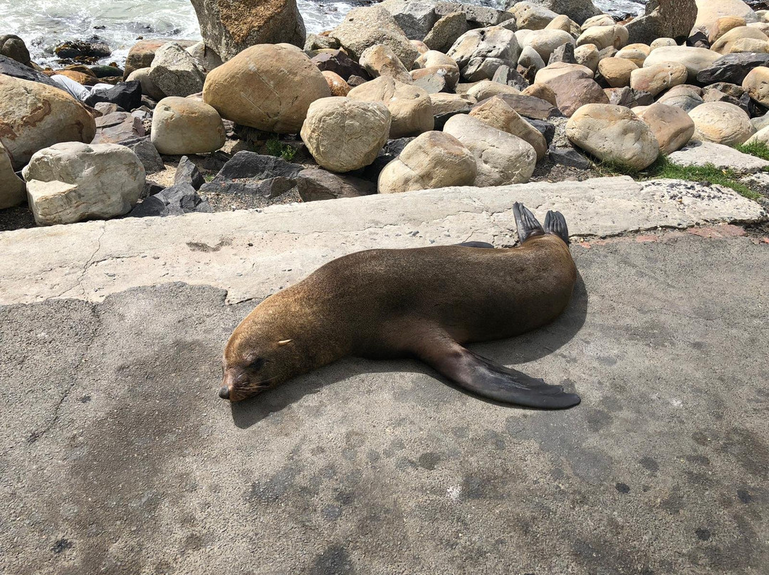 Private Cape Tours-康士坦提亚必去景点